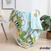 Kids Super Soft Polyester All Season Reversible Comforter Blanket